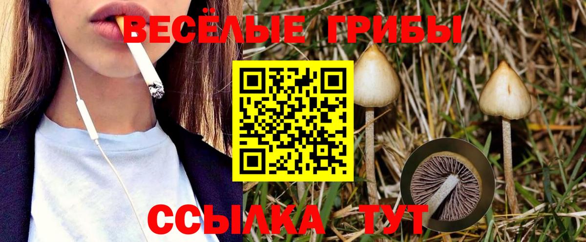 Галлюциногенные грибы Magic Shrooms  Псилоцибиновые грибы MAGIC MUSHROOMS  Гулькевичи  Вход с VPN 